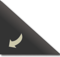 Red Red Designs - Creative, Professional Marketing Solutions