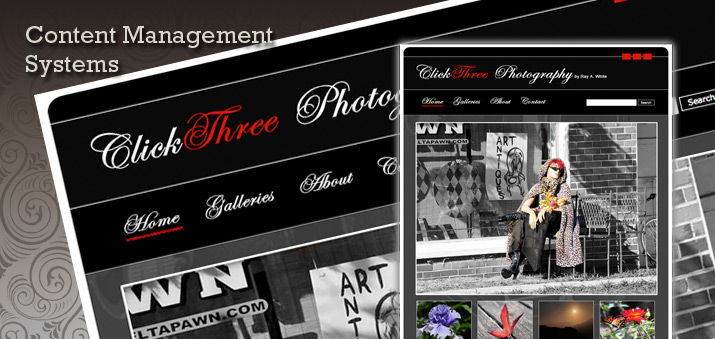 Content Management Systems